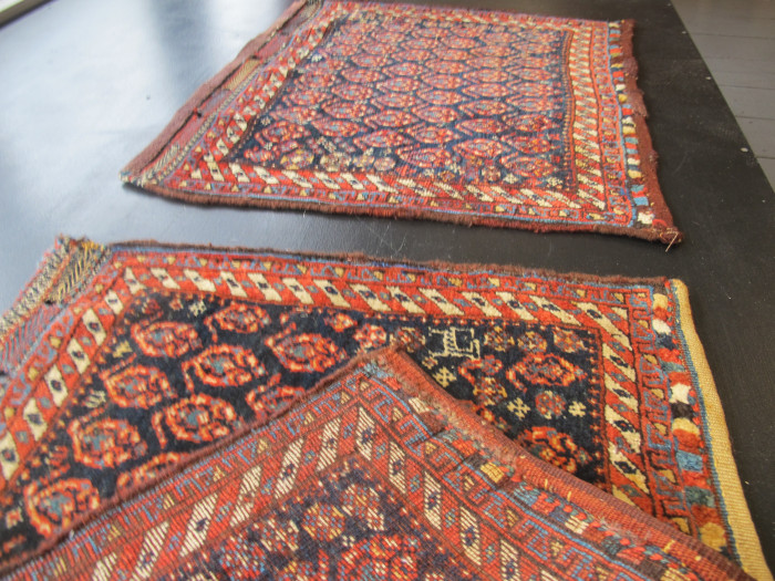 A Pair of Luri Bagfaces